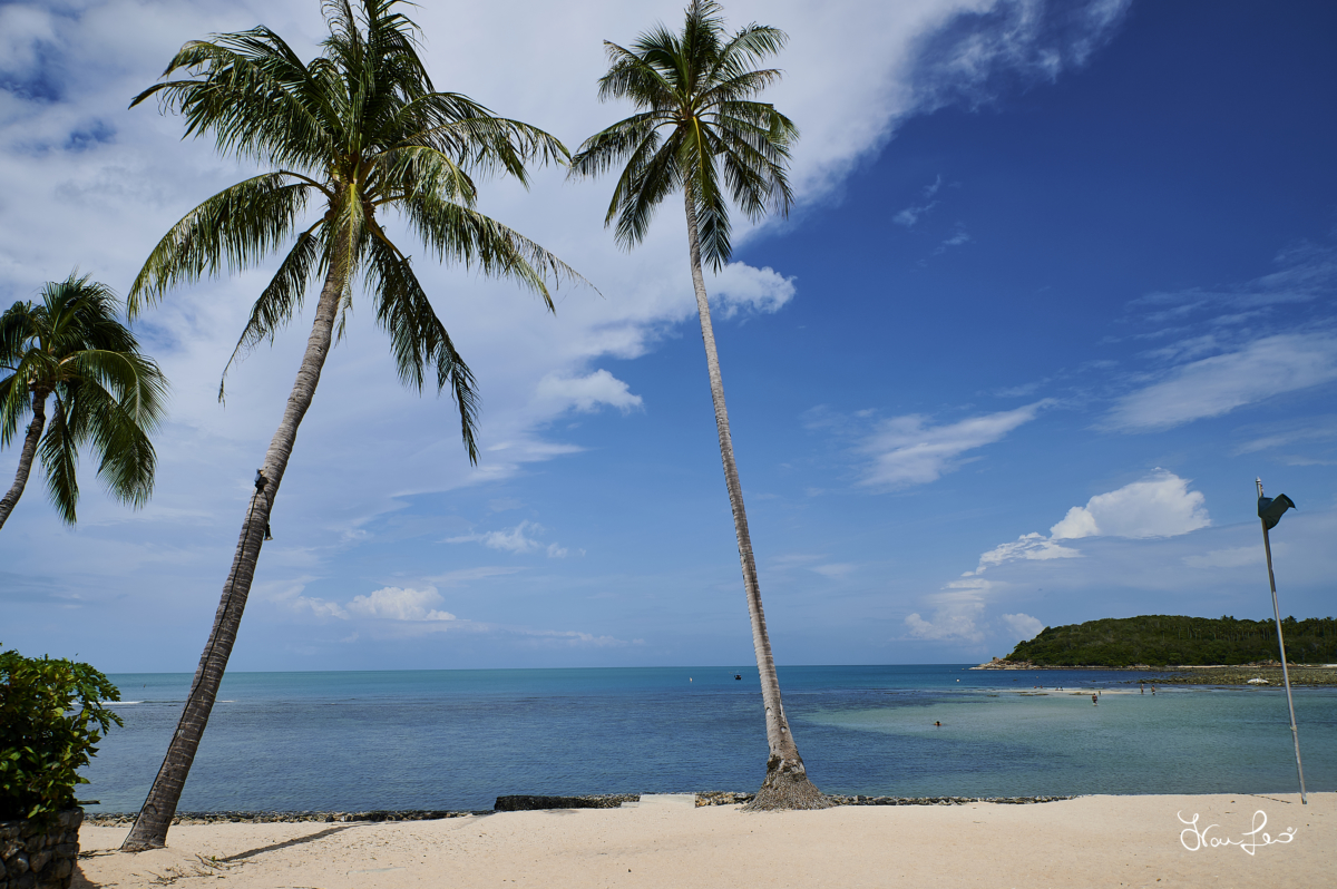 THAILANDIA 2019- 387